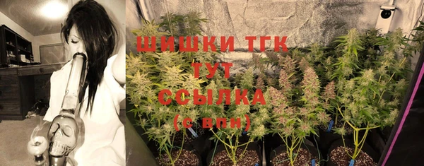 молекула духа Саяногорск