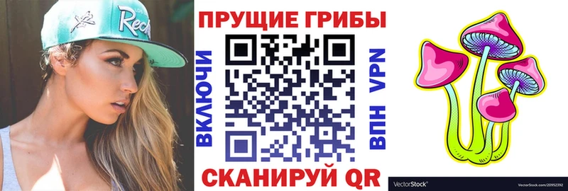Галлюциногенные грибы прущие грибы  где можно купить   Кузнецк 